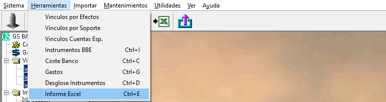 Menú Informe Excel